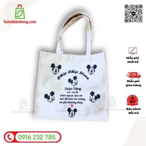 Túi canvas dạng hộp 12